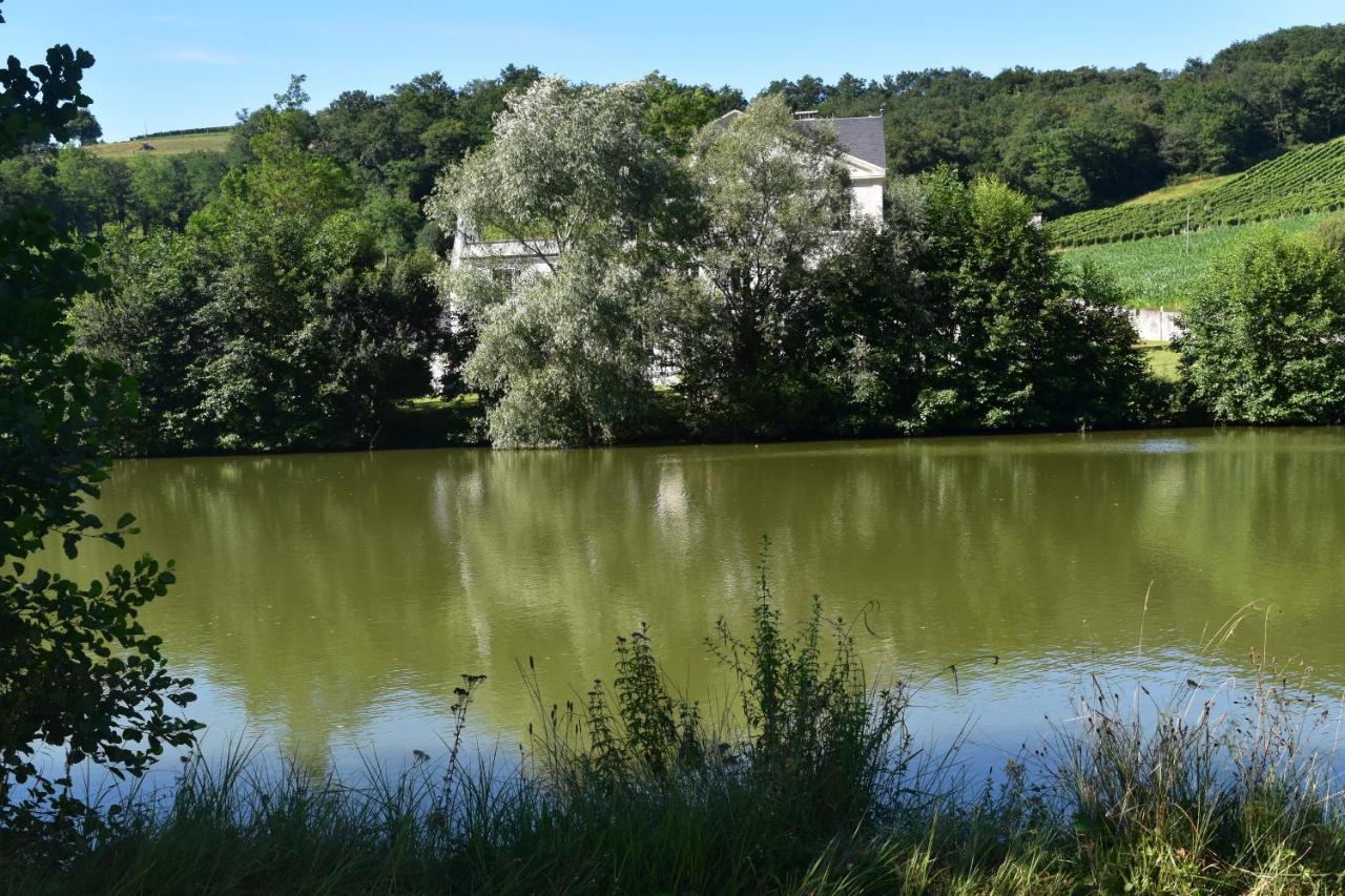 Chateau Roquehort Avec Ev Recharge Point 22Kw Monein Exterior foto
